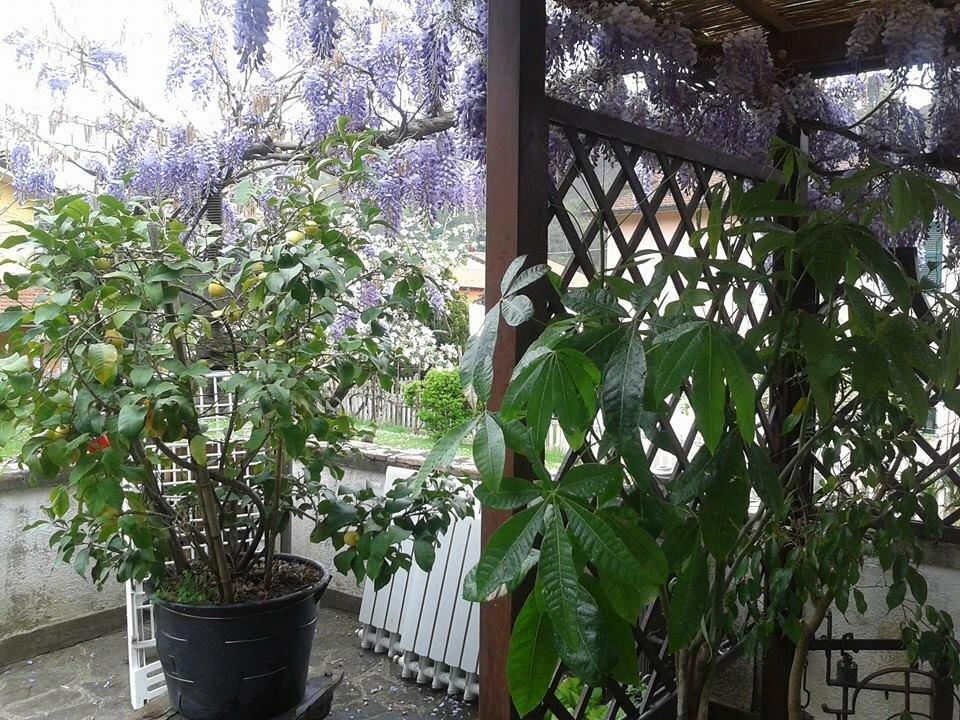 Il Ghiro B&B Ricco del Golfo di Spezia Ngoại thất bức ảnh
