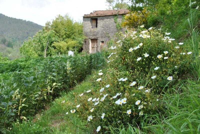 Il Ghiro B&B Ricco del Golfo di Spezia Ngoại thất bức ảnh
