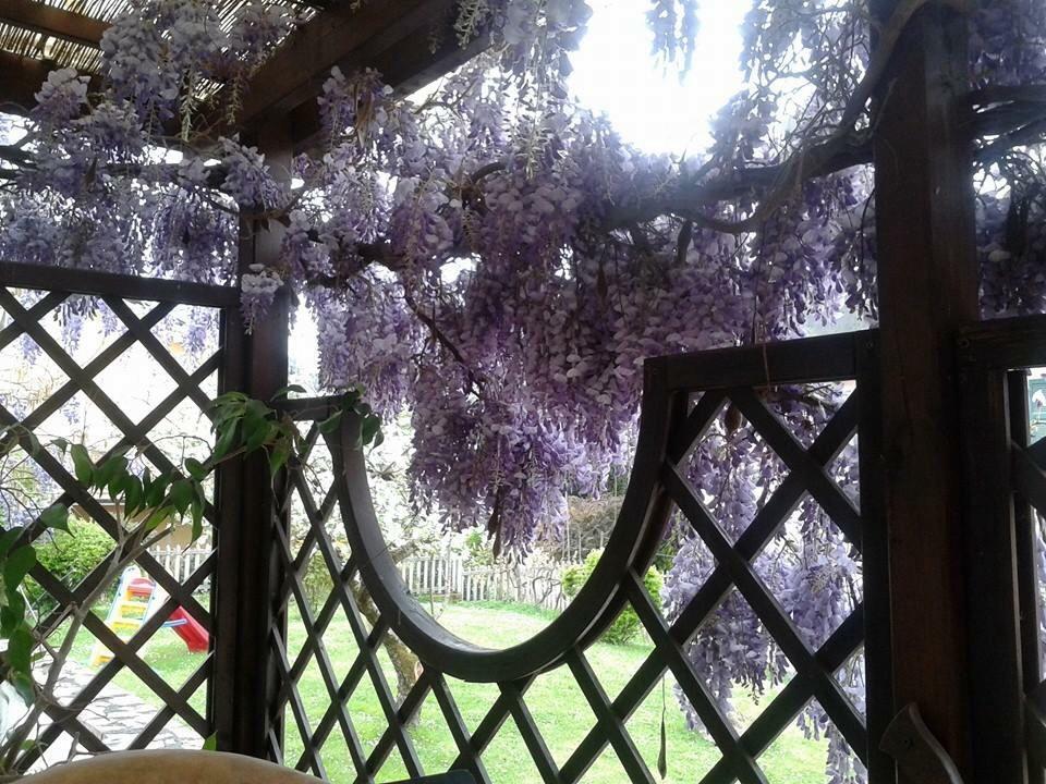 Il Ghiro B&B Ricco del Golfo di Spezia Ngoại thất bức ảnh