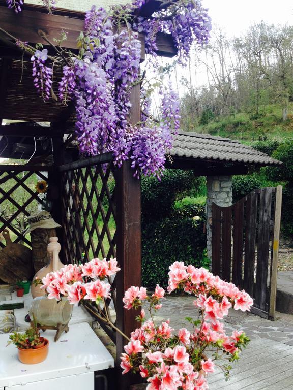 Il Ghiro B&B Ricco del Golfo di Spezia Ngoại thất bức ảnh