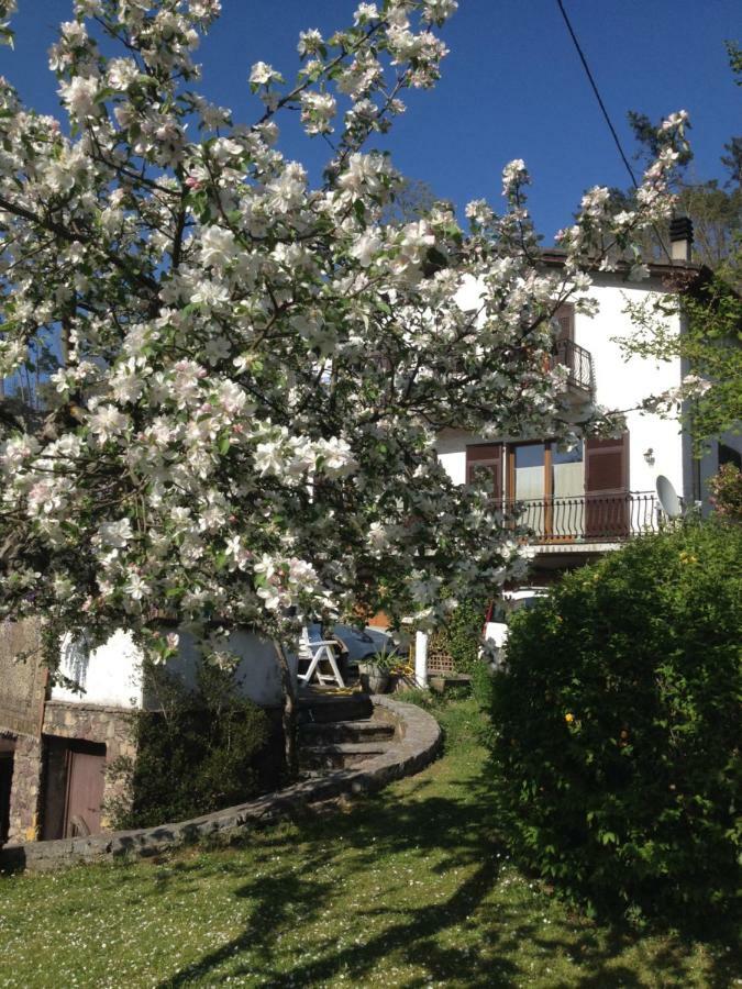 Il Ghiro B&B Ricco del Golfo di Spezia Ngoại thất bức ảnh
