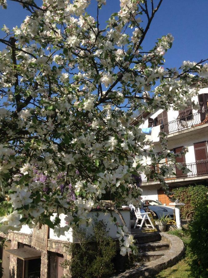 Il Ghiro B&B Ricco del Golfo di Spezia Ngoại thất bức ảnh