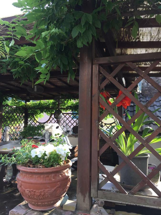 Il Ghiro B&B Ricco del Golfo di Spezia Ngoại thất bức ảnh