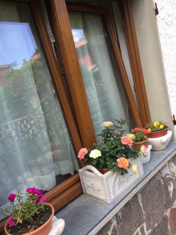 Il Ghiro B&B Ricco del Golfo di Spezia Ngoại thất bức ảnh